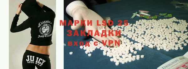 индика Балахна