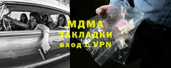 spice Богородск
