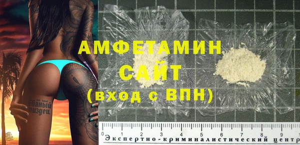 гидра Богородицк