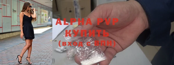 гидра Богородицк