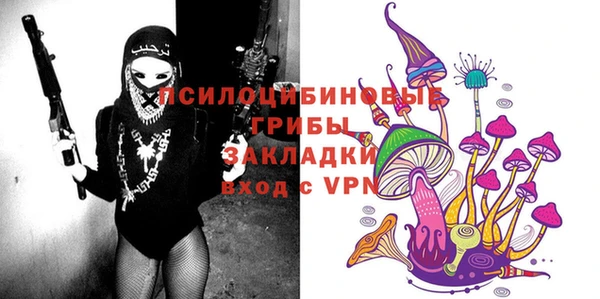 индика Балахна