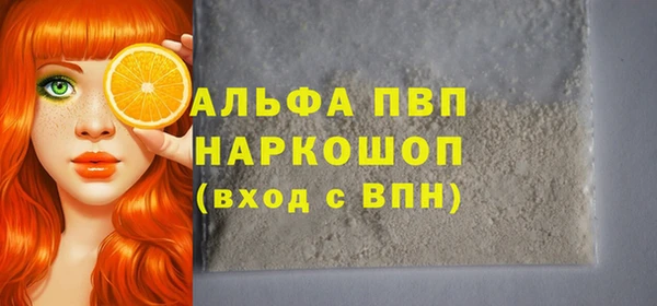 индика Балахна