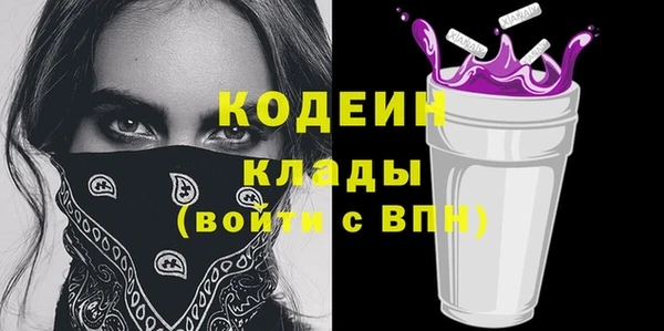 spice Богородск