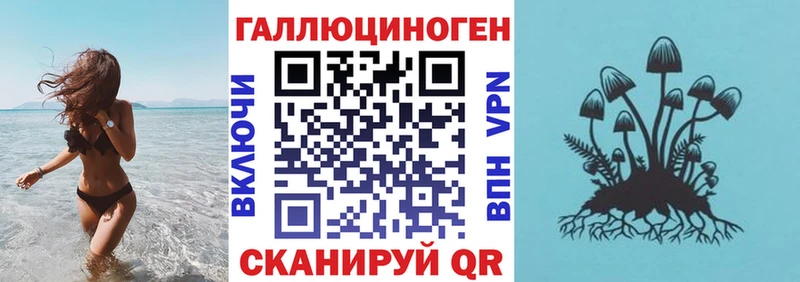Псилоцибиновые грибы прущие грибы  где можно купить   Невель 