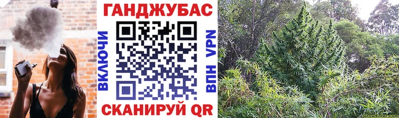 Шишки марихуана марихуана  как найти закладки  Невель 